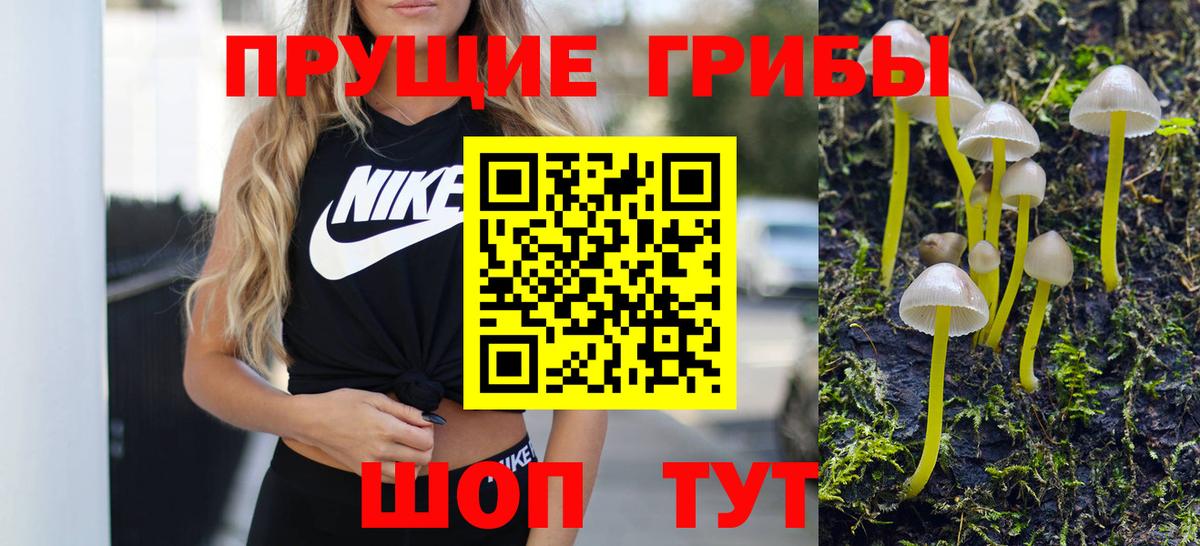 сколько стоит  Вход с VPN  Родники  Псилоцибиновые грибы MAGIC MUSHROOMS 