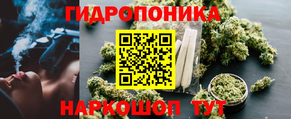 Канабис OG Kush  Марихуана сатива  Канабис план  Вход с VPN  Родники  Канабис VHQ 